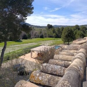 galeria (4)